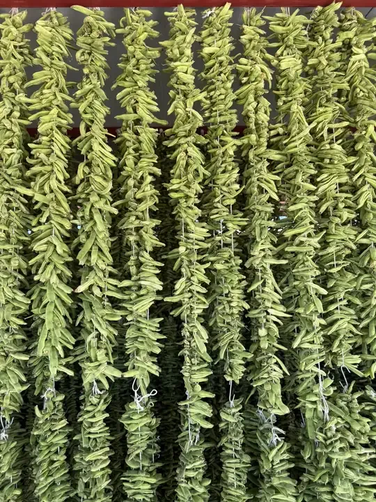 Sun-Dried Green Beans (1 String) 1
