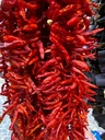 Dried Hot Pepper (Atom Biber Kurusu – Antep Style) 1