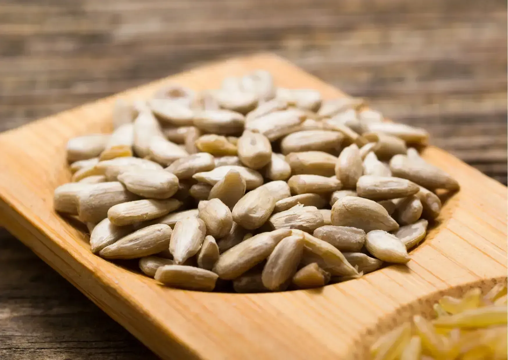 Ay Çekirdeği İçi